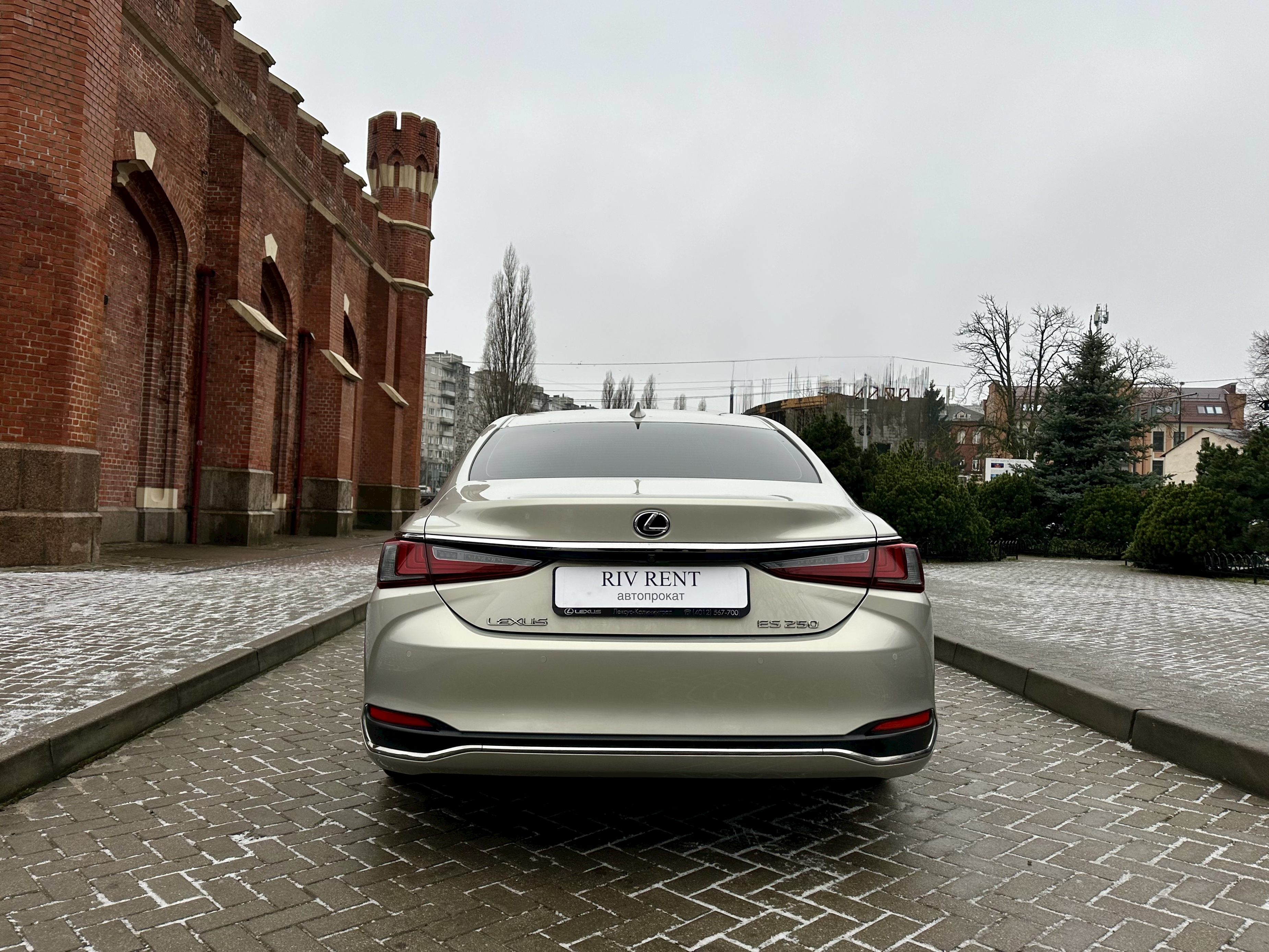 LEXUS ES 250