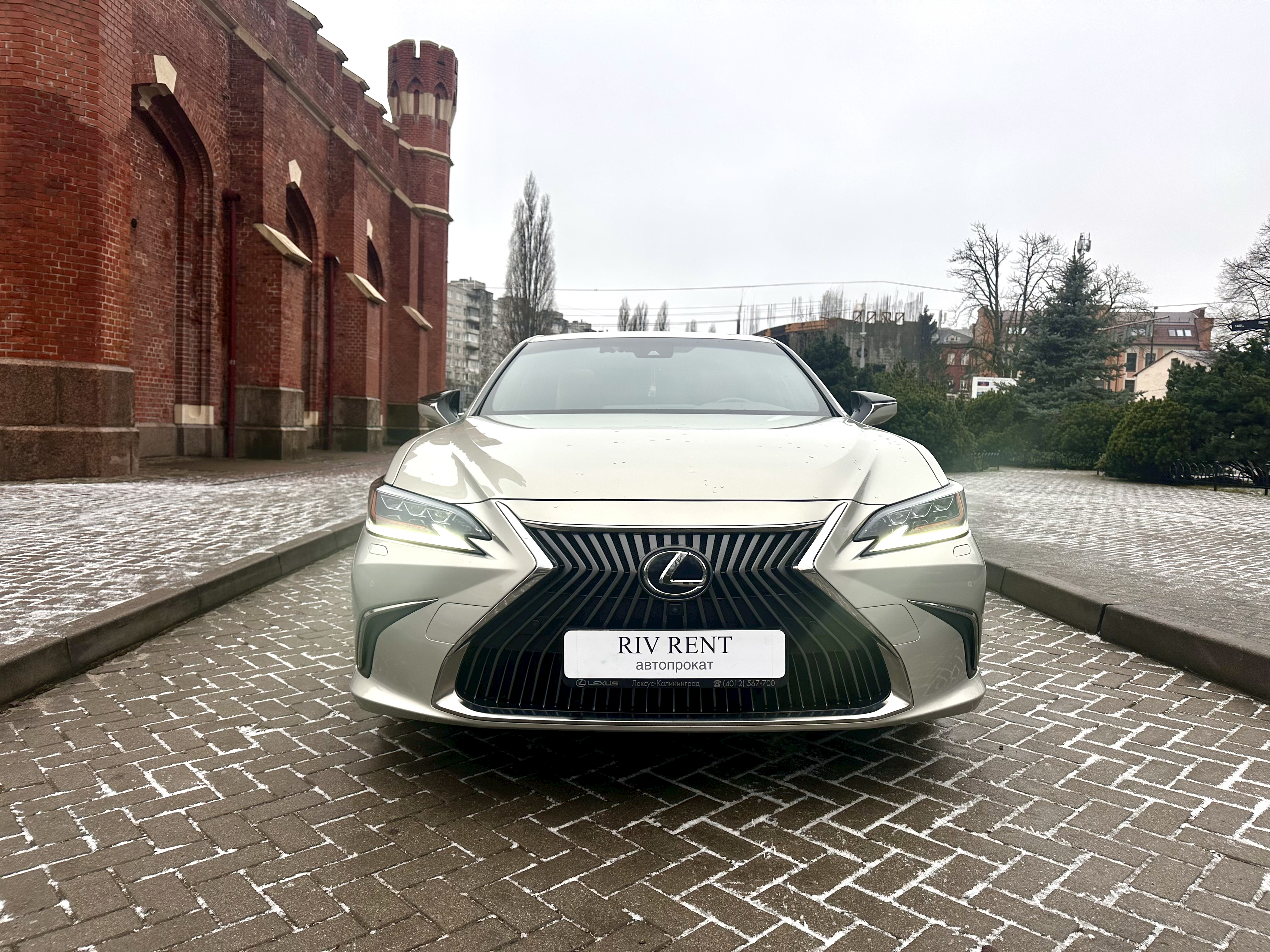 LEXUS ES 250